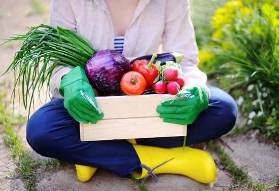 Apartment Vegetable Gardening Tips