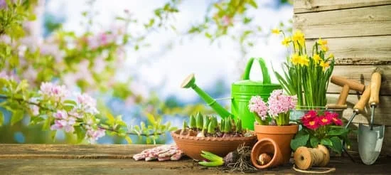 Best Gardening Tips In Northern Ohio