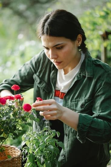 Best Gardening Tips On Instagram