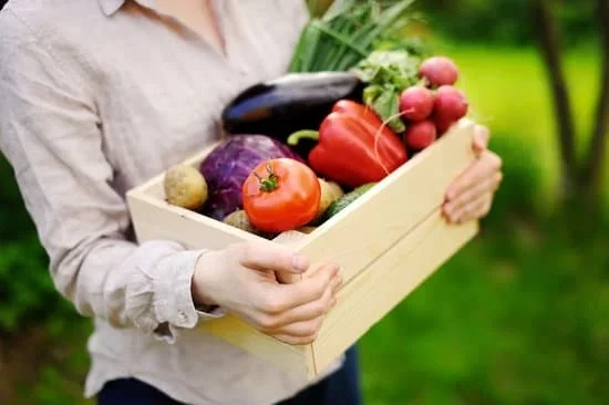 Gardening Tips Growing Season