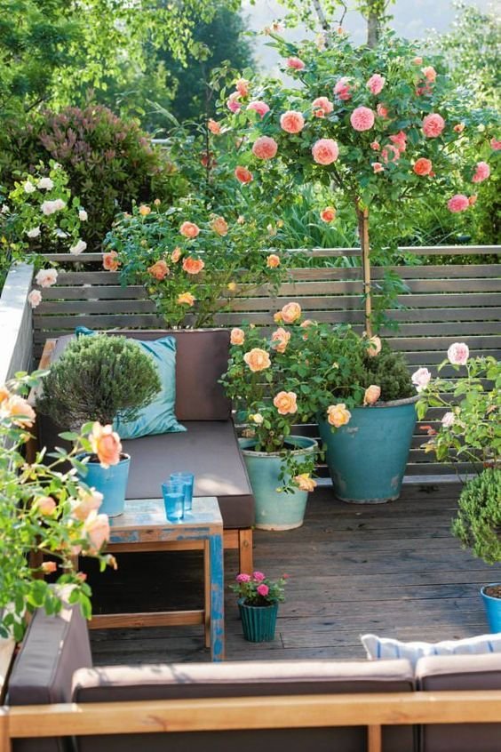 Home Gardening Tips In Tamil Pdf 1 Home Gardening Tips In Tamil Pdf