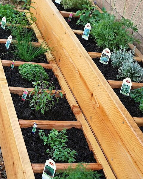 Home Organic Gardening Tips