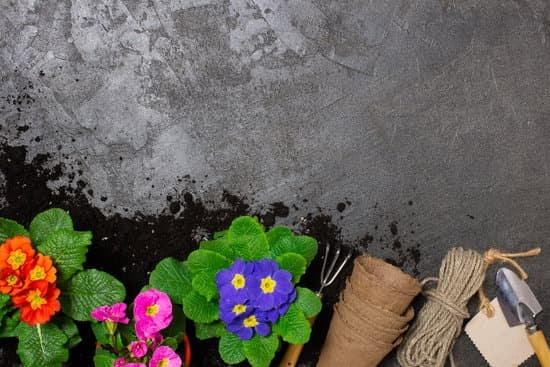 Organic Container Gardening Tips