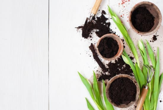 Organic Gardening Tips Pinterest