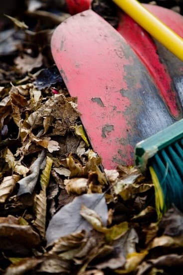 Southern Gardening Tips For Beginners 1 Southern Gardening Tips For Beginners