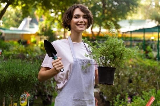 Best Gardening Blogs For Beginners 5 Best Gardening Blogs For Beginners