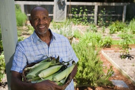 Black Gardening Black Gardening