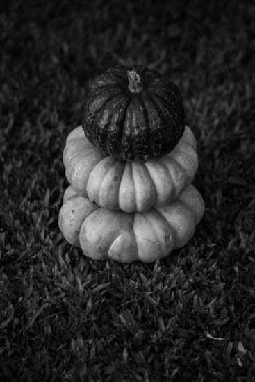 Brian Laundrie Parents Gardening Hand