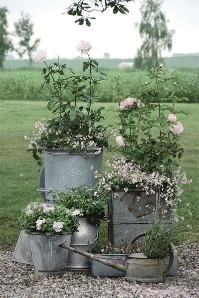 Icos Gardening & Landscape