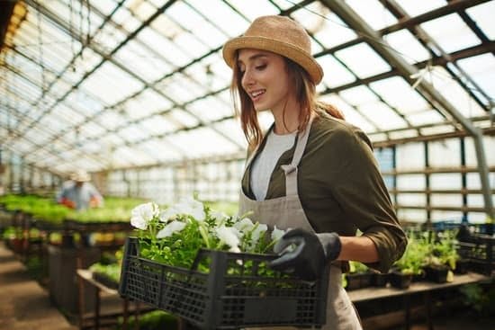 Kd Gardening Services