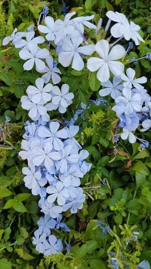 Memes About Gardening 3 Memes About Gardening