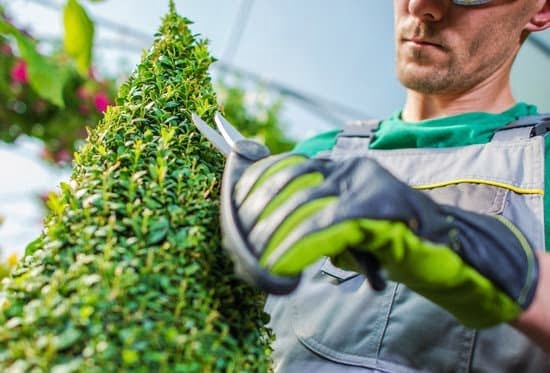 Square Foot Gardening Protective Cover