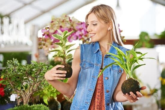Things To Know About Gardening
