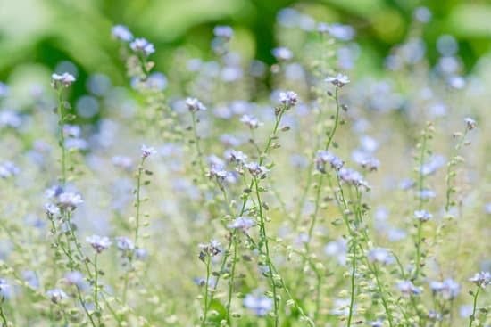 Womens Gardening Bibs