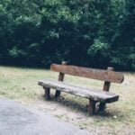 Winter Gardening Beautiful winter garden with snow-covered plants and vibrant cold-weather blooms