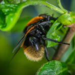 Proper Garden Soil Care Tips for Optimal Growth and Nutrient Retention