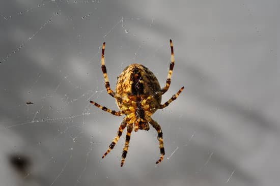 Flower Gardening 1 gardening 2692