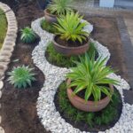 Lush tropical garden featuring vibrant flowers and exotic plants