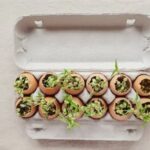 Diy Garden Projects Get inspired with these creative DIY garden projects for your outdoor oasis