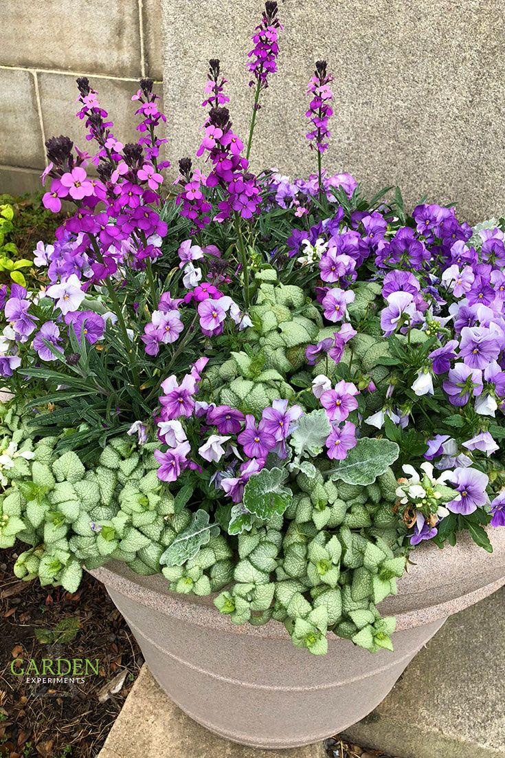 gardening 315
