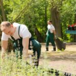 Get a visually appealing and practical garden design layout for free!
