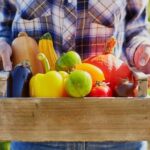 Pest Control in Gardening Expert tips and techniques for effective pest control in gardening