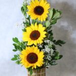 Gardening for Beginners Image of a colorful flower garden with gardening tools, perfect for beginners