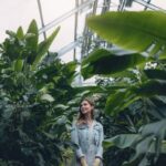 Useful Gardening Tips: From plant care to soil preparation, master the art of gardening with these handy suggestions!