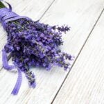 Urban Gardening Vibrant urban gardening concept showcasing lush green plants and flowers in a small city backyard