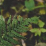Lush rooftop garden with vibrant flowers, green plants, and relaxing seating area