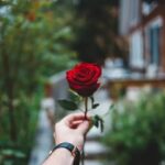 Backyard Landscaping Ideas Along Fence Stunning Backyard Landscaping Ideas Along Fence: Creative designs, plants, and paths to enhance your outdoor space