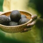 Sleek and functional L-shaped garden design layout for efficient use of space