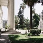 Creative gardening solutions around tree roots: a guide to landscaping ideas