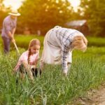 Front yard sidewalk landscaping ideas: Creative ways to enhance your outdoor space with curb appeal