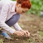 Landscape Business Advertising Ideas Creative landscape business advertising ideas to attract customers and boost sales