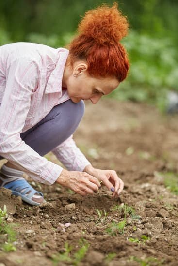 Landscape Business Advertising Ideas 3 Creative landscape business advertising ideas to attract customers and boost sales
