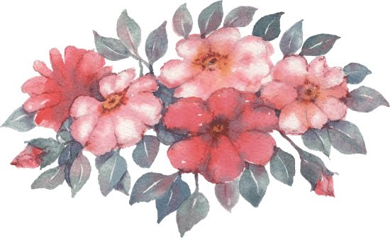 Front Yard Landscape Ideas: Modern & Sustainable Designs for Your Outdoor Space