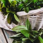 Serenity and Style: Expert tips for Landscaping and Garden Design Planning and Layout