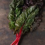 Townhouse Front Yard Landscaping Ideas Townhouse front yard landscaping ideas: Small garden designs, charming pathways, and neat outdoor seating areas