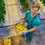 Landscaping Ideas Around Mailbox Creative landscaping ideas around mailbox to enhance curb appeal