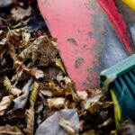 Green Landscape Ideas Serene green landscape ideas for your outdoor space, featuring lush gardens and eco-friendly elements