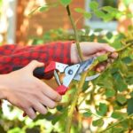 Landscape Metal Edging Ideas Stylish and Durable Landscape Metal Edging Ideas: Transform Your Outdoor Space
