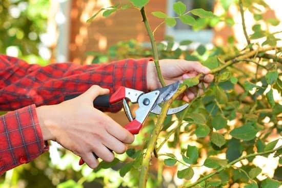 Stylish and Durable Landscape Metal Edging Ideas: Transform Your Outdoor Space
