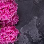 Perennial Garden Layout Designs Beautiful and well-organized perennial garden layout designs for your outdoor space