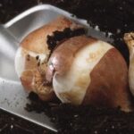 Landscape Drawing Ideas Beautiful landscape drawing ideas featuring mountains, rivers, and forests for artists of all levels