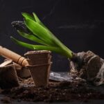 Azalea Garden Design Layout Beautiful Azalea Garden Layout: Vibrant Blooms, Cozy Pathways