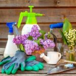 No Maintenance Landscaping Ideas Beautiful Xeriscaping: No Maintenance Landscaping Ideas for Your Home