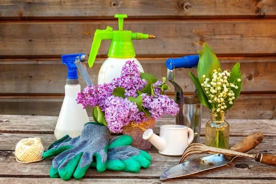 No Maintenance Landscaping Ideas 1 Beautiful Xeriscaping: No Maintenance Landscaping Ideas for Your Home