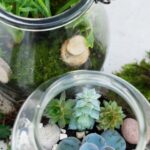 Transform your outdoor space with creative landscaping ideas using durable pavers