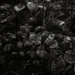 Creative small garden designs for TINY YARD LANDSCAPE IDEAS-- maximize space with clever layout and greenery